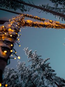 Preview wallpaper garlands, snow, trees, decoration, winter