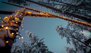 Preview wallpaper garlands, snow, trees, decoration, winter