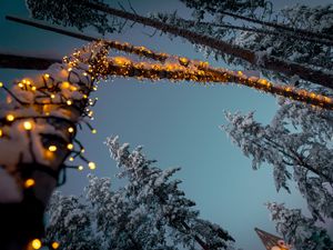 Preview wallpaper garlands, snow, trees, decoration, winter