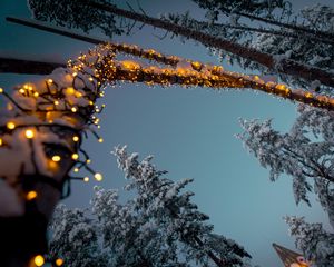 Preview wallpaper garlands, snow, trees, decoration, winter