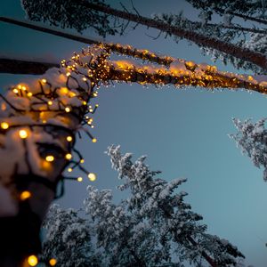 Preview wallpaper garlands, snow, trees, decoration, winter