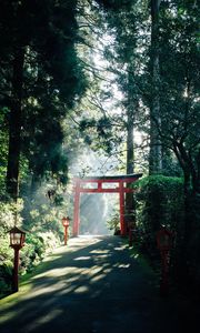 Preview wallpaper gate, china, road, lights, trees, rays