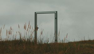 Preview wallpaper gate, fence, minimalism, sky, grass