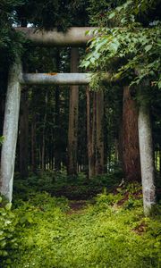 Preview wallpaper gate, pillars, forest, nature, leaves