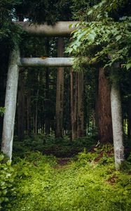 Preview wallpaper gate, pillars, forest, nature, leaves