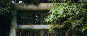 Preview wallpaper gate, pillars, forest, nature, leaves