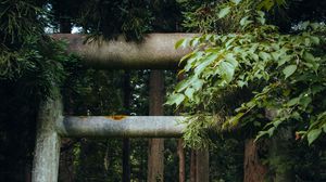 Preview wallpaper gate, pillars, forest, nature, leaves