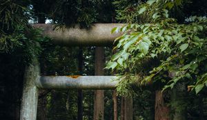 Preview wallpaper gate, pillars, forest, nature, leaves