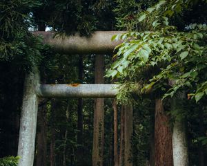 Preview wallpaper gate, pillars, forest, nature, leaves