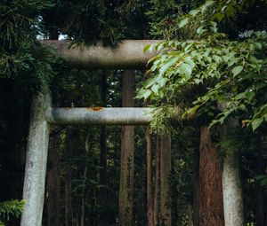Preview wallpaper gate, pillars, forest, nature, leaves