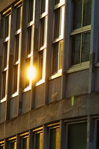 Preview wallpaper geometry, windows, building, light, lines