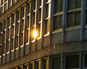 Preview wallpaper geometry, windows, building, light, lines