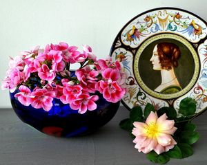 Preview wallpaper geraniums, roses, flowers, plate, profile, surface