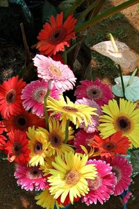 Preview wallpaper gerbera, anthurium, flower, flowers, vases