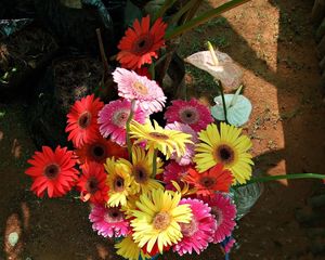 Preview wallpaper gerbera, anthurium, flower, flowers, vases