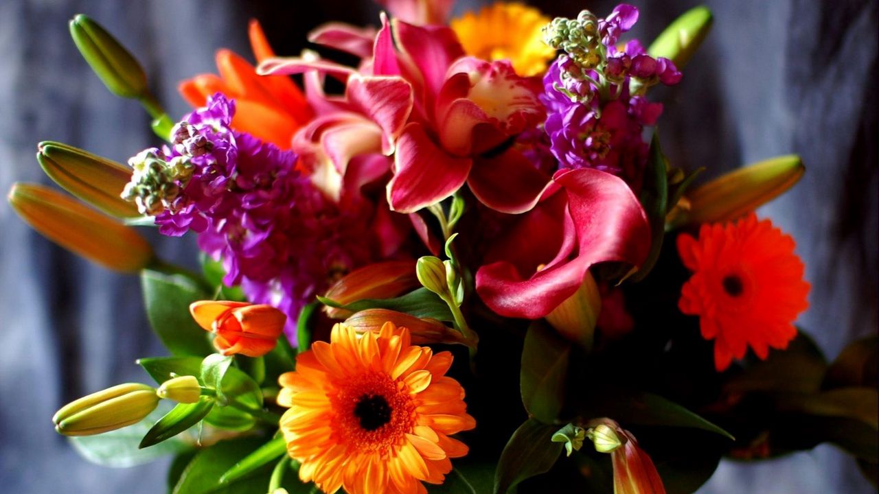Wallpaper gerbera, calla lilies, lily, flowers, bouquet, decoration, close-up