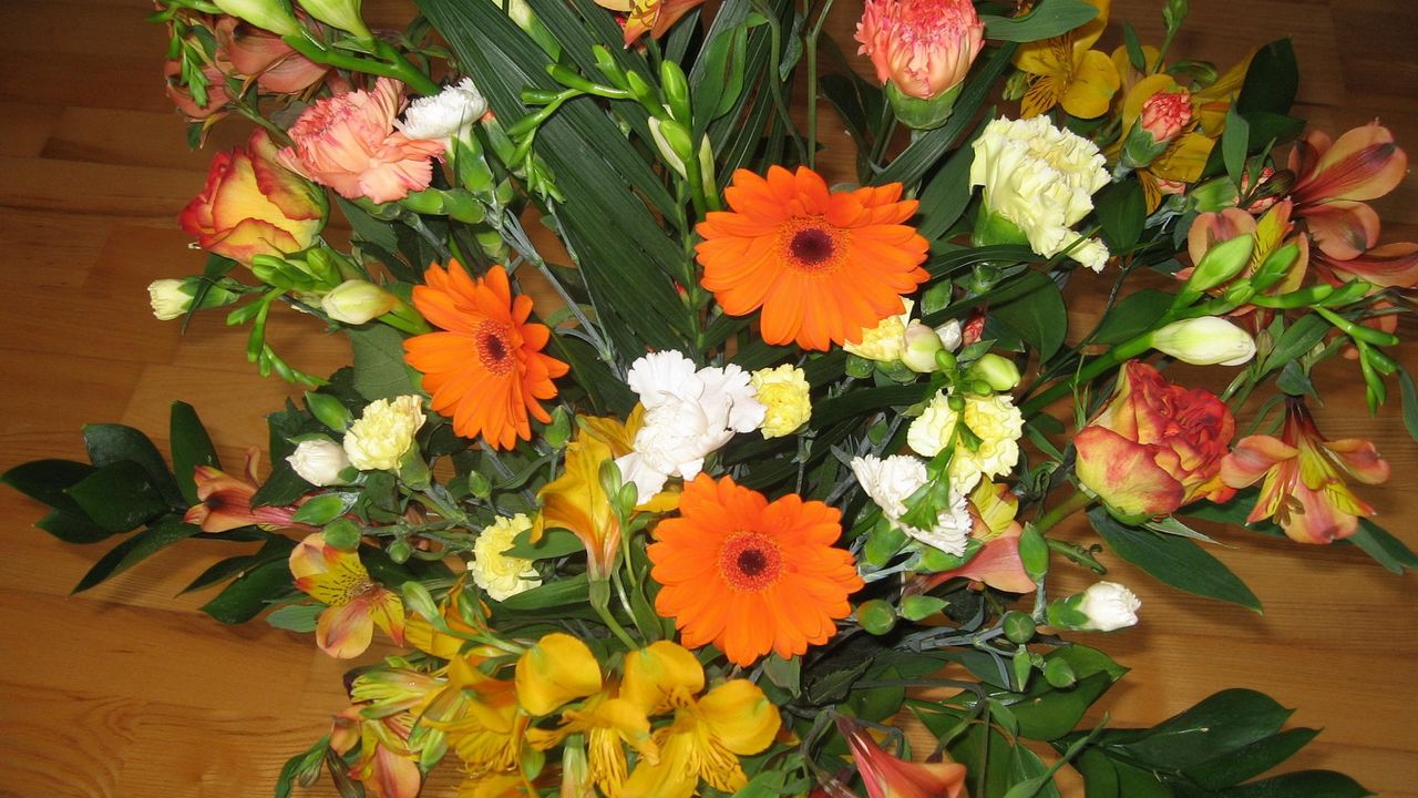 Wallpaper gerbera, carnations, flowers, bouquets, composition