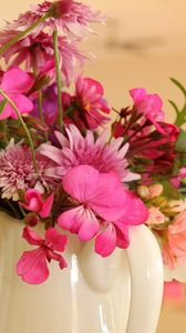 Preview wallpaper gerbera, chrysanthemum, flower, jug, close-up
