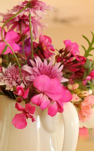 Preview wallpaper gerbera, chrysanthemum, flower, jug, close-up