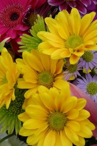 Preview wallpaper gerbera, chrysanthemums, flowers, bouquet, bright, colorful, close-up