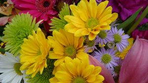 Preview wallpaper gerbera, chrysanthemums, flowers, bouquet, bright, colorful, close-up