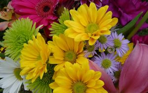 Preview wallpaper gerbera, chrysanthemums, flowers, bouquet, bright, colorful, close-up