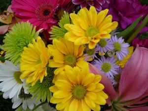 Preview wallpaper gerbera, chrysanthemums, flowers, bouquet, bright, colorful, close-up