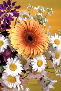 Preview wallpaper gerbera, daisies, flowers, bouquet, decoration, vase, beauty