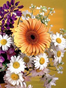 Preview wallpaper gerbera, daisies, flowers, bouquet, decoration, vase, beauty