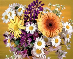 Preview wallpaper gerbera, daisies, flowers, bouquet, decoration, vase, beauty