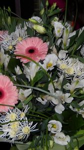 Preview wallpaper gerbera, flower, bouquet, decoration, beauty