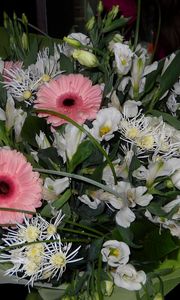 Preview wallpaper gerbera, flower, bouquet, decoration, beauty