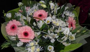 Preview wallpaper gerbera, flower, bouquet, decoration, beauty