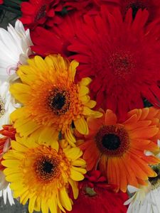 Preview wallpaper gerbera, flower, bouquet, different, bright