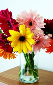 Preview wallpaper gerbera, flower, vase, table