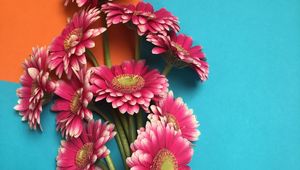 Preview wallpaper gerbera, flowers, bouquet, petals