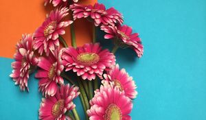 Preview wallpaper gerbera, flowers, bouquet, petals