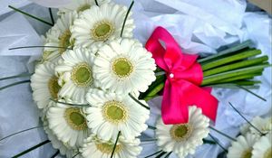 Preview wallpaper gerbera, flowers, bouquet, white, bow, beautifully
