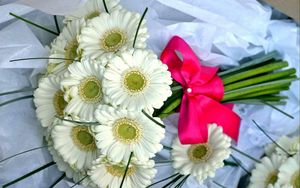 Preview wallpaper gerbera, flowers, bouquet, white, bow, beautifully