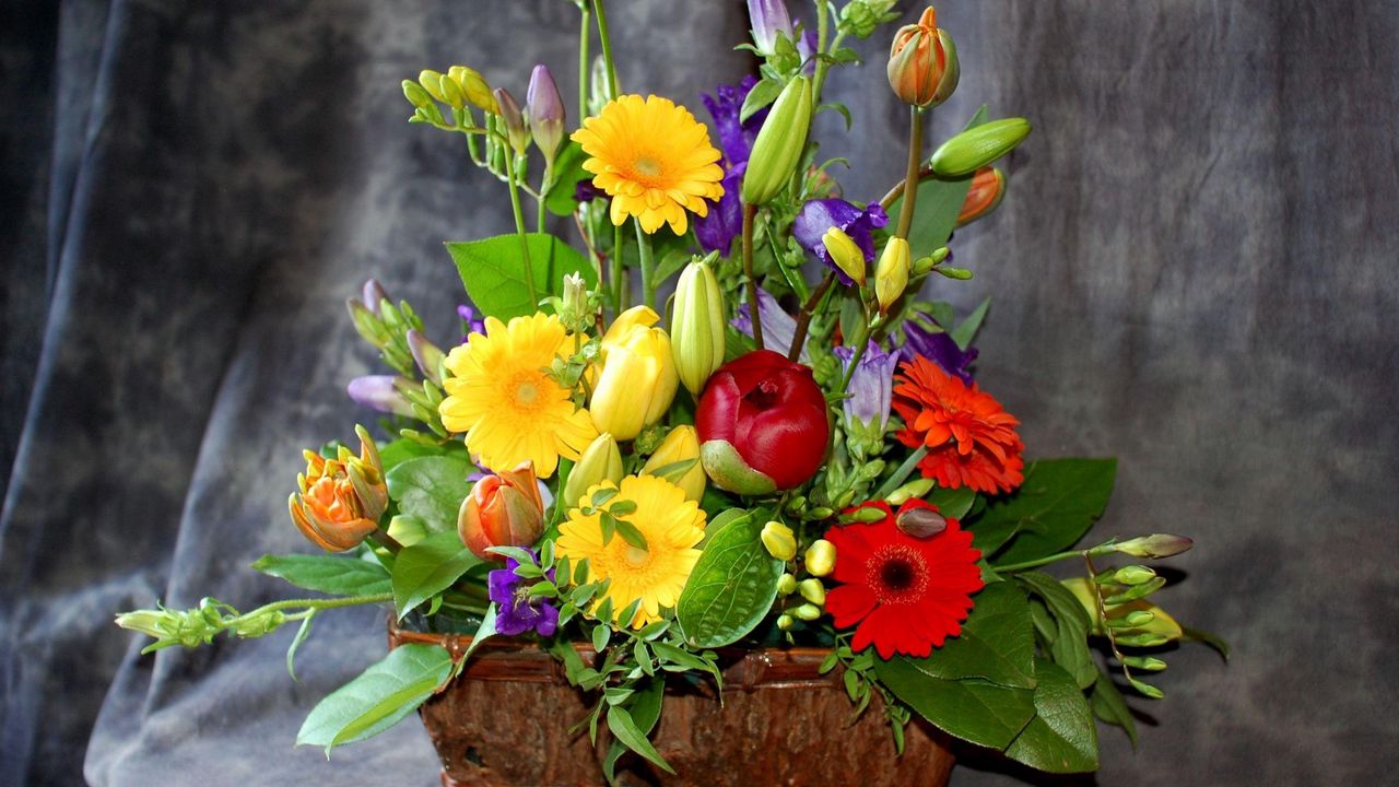 Wallpaper gerbera, flowers, bouquets, composition, design, green