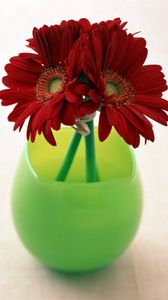 Preview wallpaper gerbera, flowers, three, vase