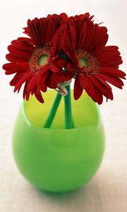 Preview wallpaper gerbera, flowers, three, vase