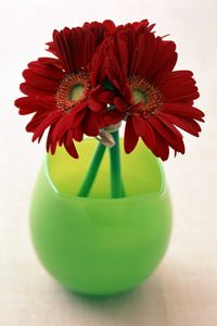 Preview wallpaper gerbera, flowers, three, vase