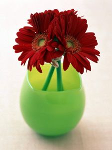 Preview wallpaper gerbera, flowers, three, vase