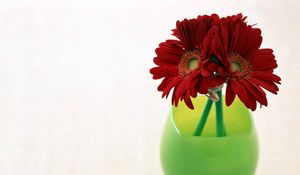 Preview wallpaper gerbera, flowers, three, vase