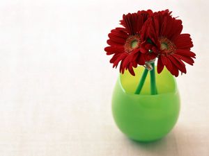 Preview wallpaper gerbera, flowers, three, vase