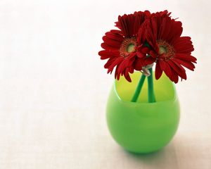 Preview wallpaper gerbera, flowers, three, vase