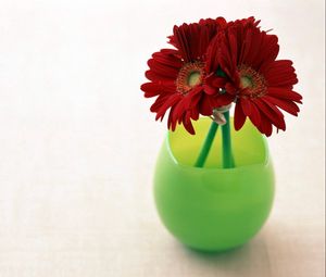 Preview wallpaper gerbera, flowers, three, vase