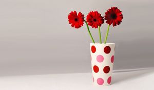 Preview wallpaper gerbera, flowers, three, vase, peas