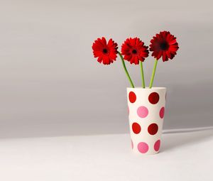 Preview wallpaper gerbera, flowers, three, vase, peas